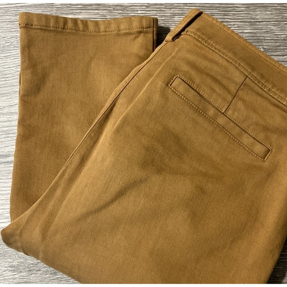 Eileen Fisher Organic Cotton Cozy Stretch Slim Pants in Dark Clay SZ 2 (28x28) - Picture 1 of 12